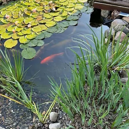 Ferien Oder Wochenendwohnung Lägenhet