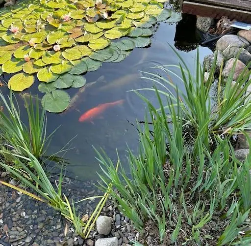 Ferien Oder Wochenendwohnung Apartment